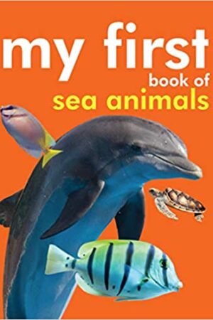 Board book: My First Book of Sea Animals