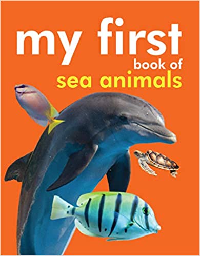 Board book: My First Book of Sea Animals