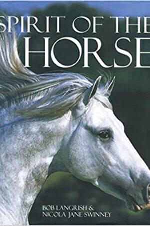 Spirit of the Horse
