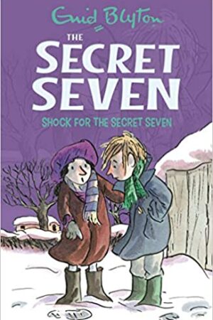 Shock for the Secret Seven: 13 (The Secret Seven Series)