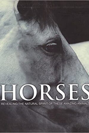 Horses (Spirit of)
