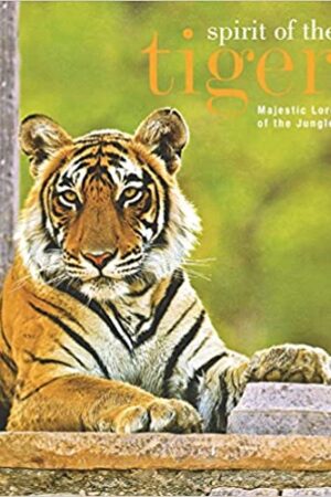 Spirit of the Tiger Majestic Lord of the Jungle
