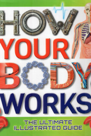 How Your Body Works