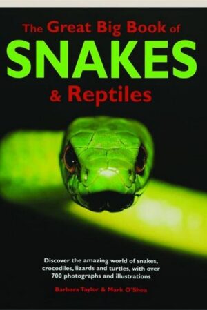Great Big Book Of Snakes & Reptiles