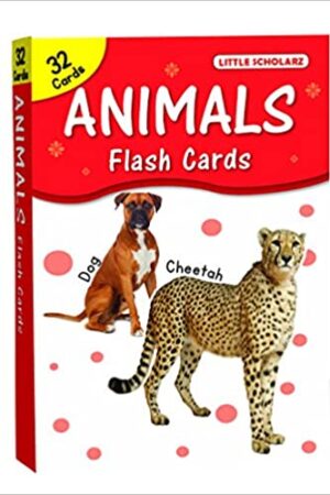 Animals Flash Cards