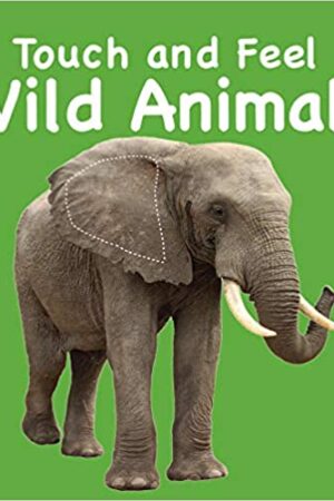 Board Book-Touch and Feel: Wild Animals