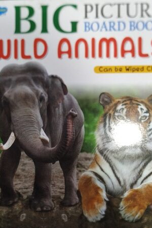 Big Picture Board Book Wild Animals