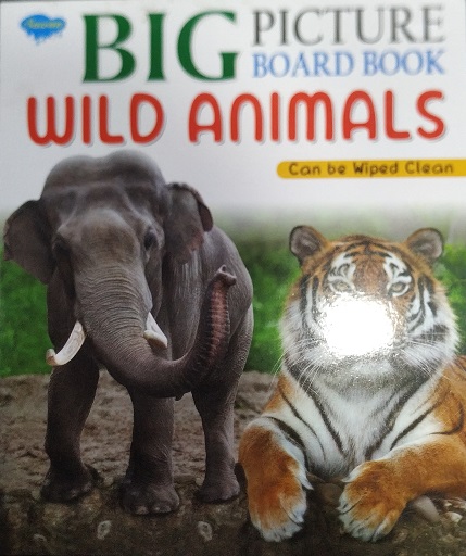 Big Picture Board Book Wild Animals