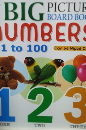Big Picture Board Book Numbers 1 to 100