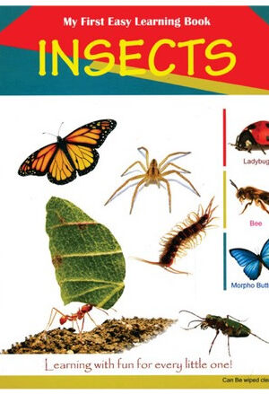 INSECTS
