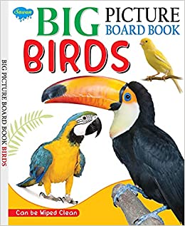 Big Picture Board Book Birds?