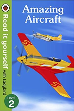 Amazing-Aircraft-RIY-HB-Level-2