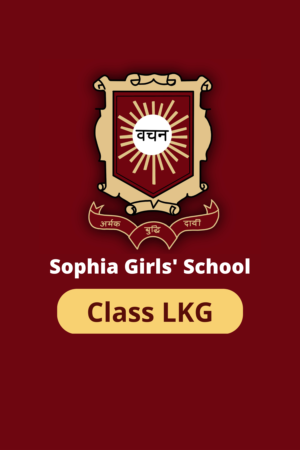 Sophia Class LKG