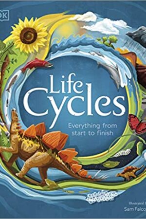 Life-Cycles