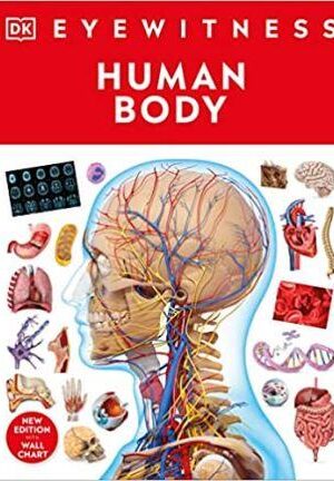 human-body-eyewitness-dk-eyewitness