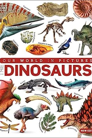 Our World in Pictures The Dinosaur Book