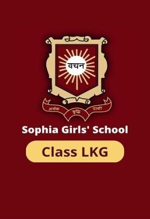 Sophia Class LKG